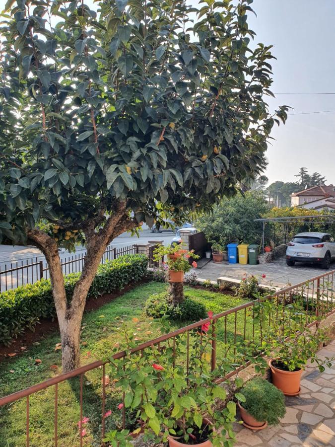 Apartman Bruna 1 Poreč Buitenkant foto